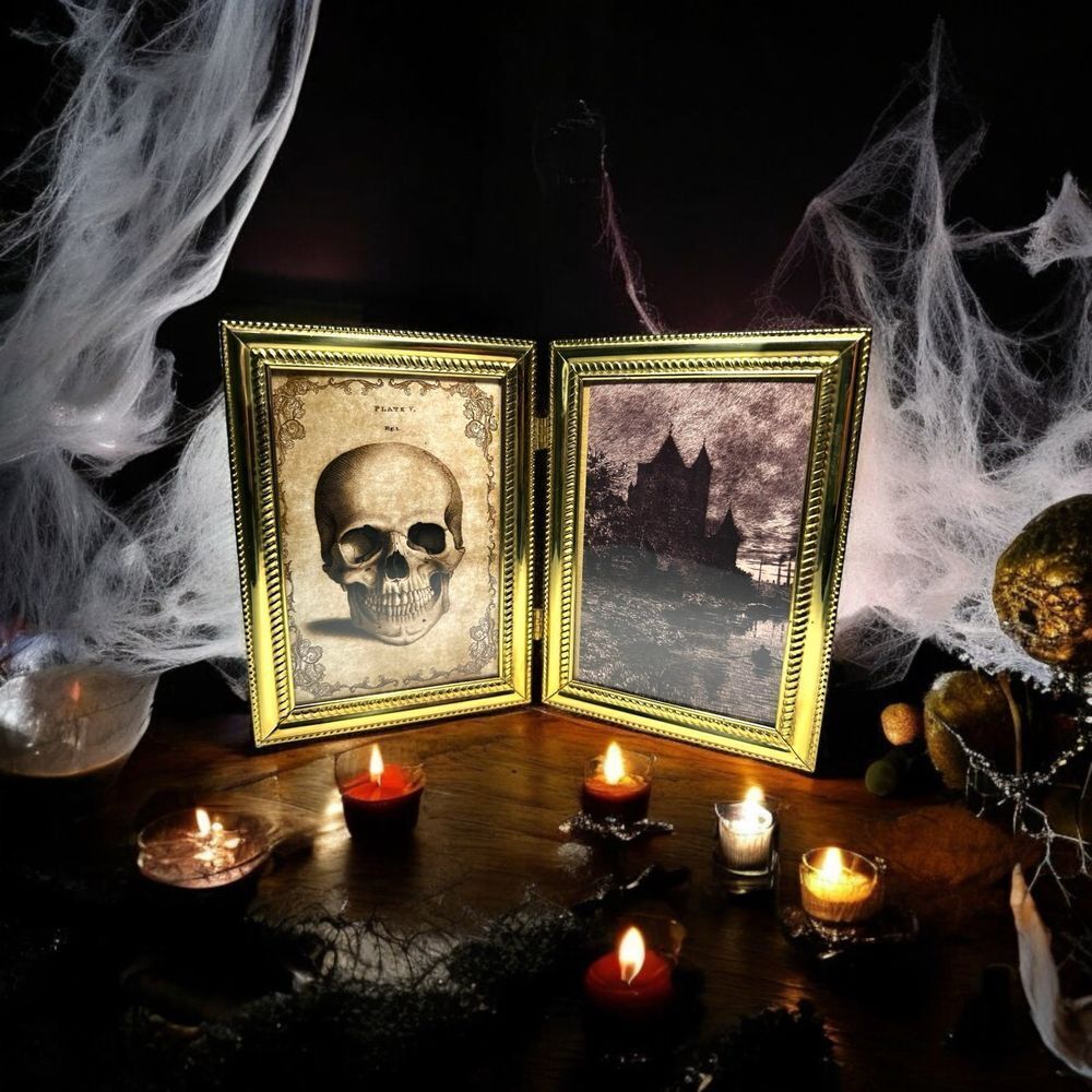 Vintage Brass Double Frame spooky Halloween decor MCM haunted skull